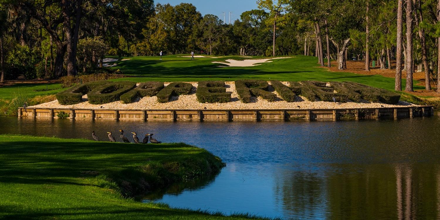 Innisbrook Sets Future Plans for Homes